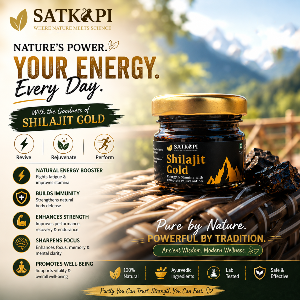 SATKAPI Shilajit Gold - Nature's Power