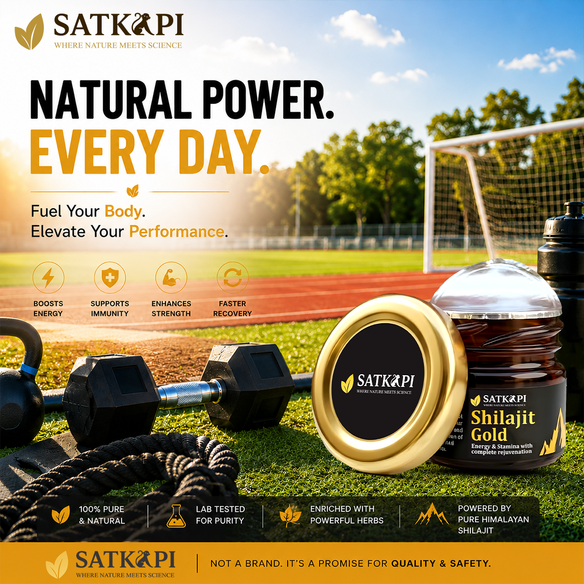 SATKAPI Shilajit Gold - Fuel Your Body