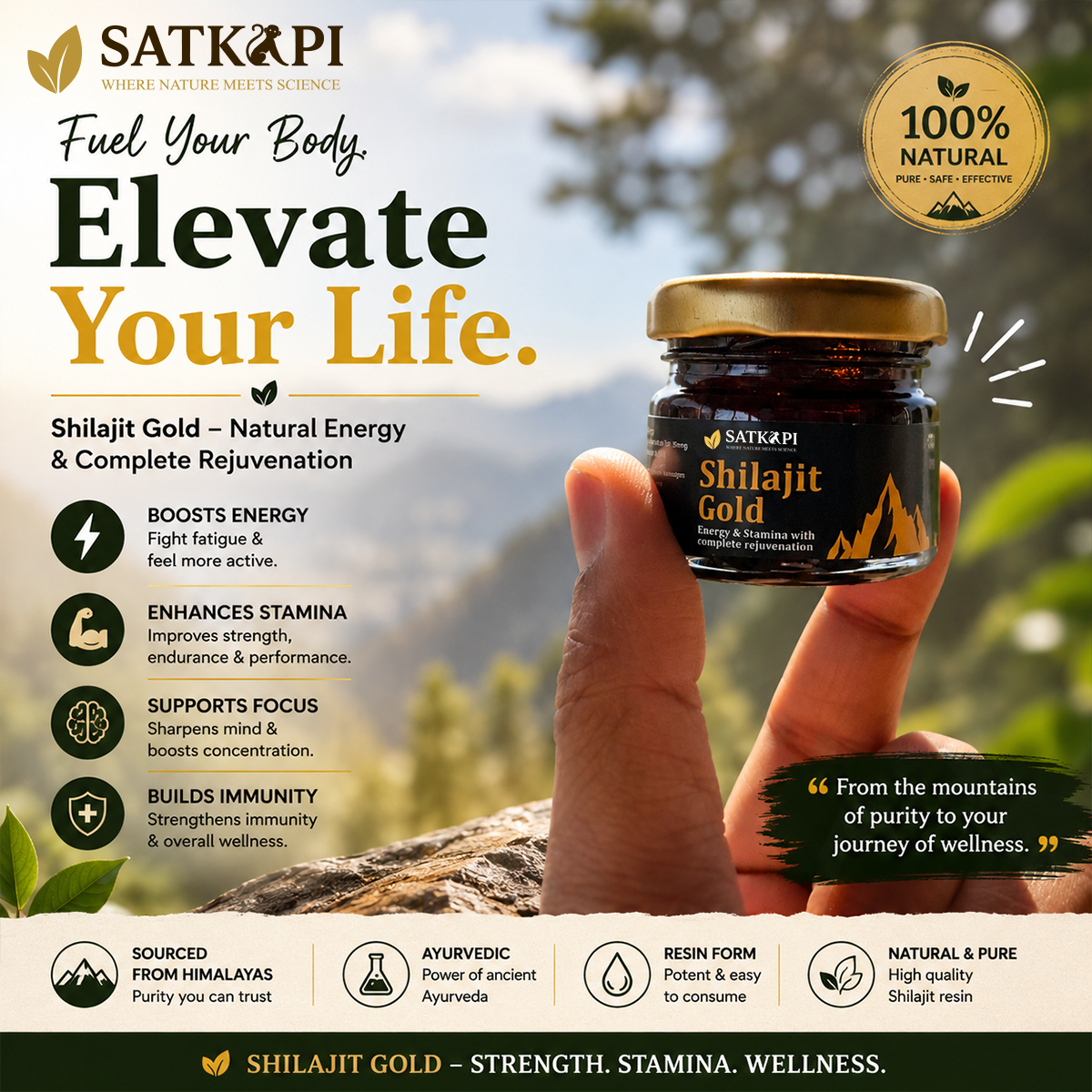 SATKAPI Shilajit Gold - Natural Power Every Day