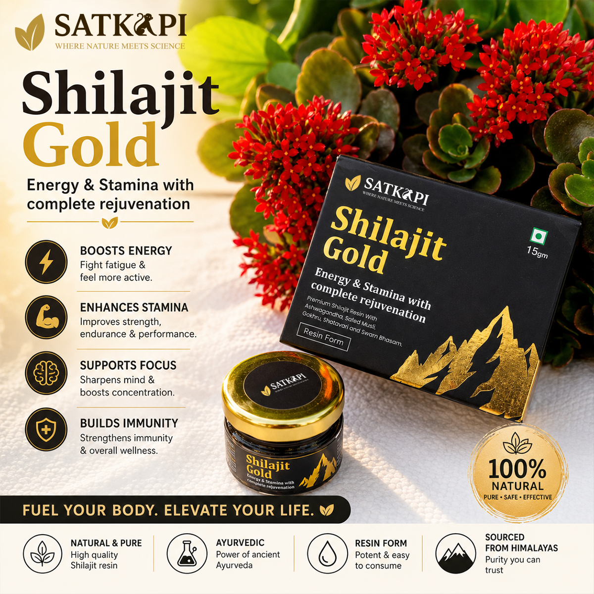 SATKAPI Shilajit Gold - Energy and Stamina